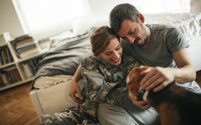 What is pet fostering?