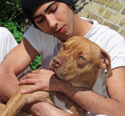 man and companion dog