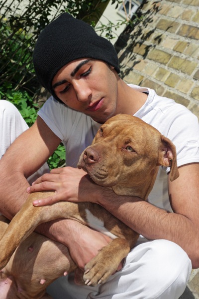 Man and pit bull