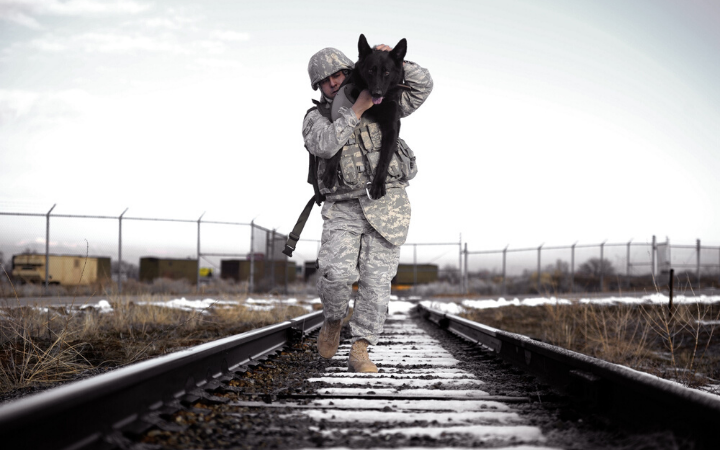 Military working dogs: America's four-legged warriors