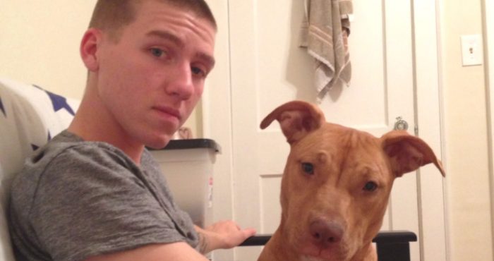 Stray dog makes young Navy family complete