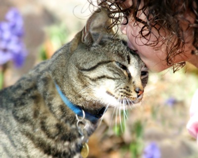 girl kissing cat 