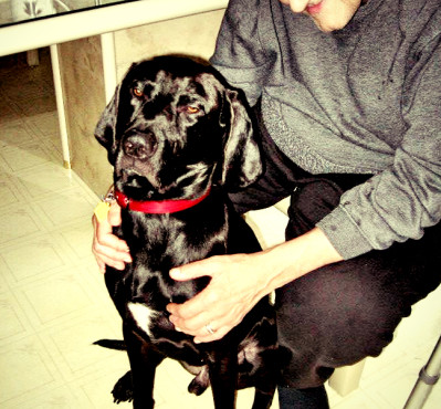 Leonard and Noodles