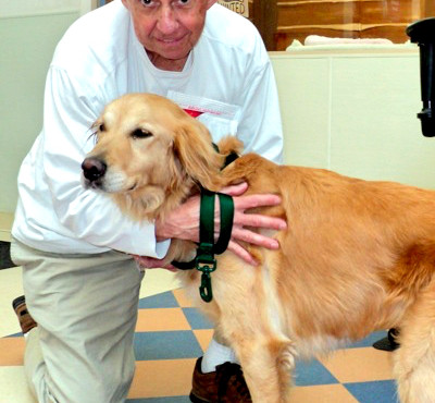 Bob and Trust adoption