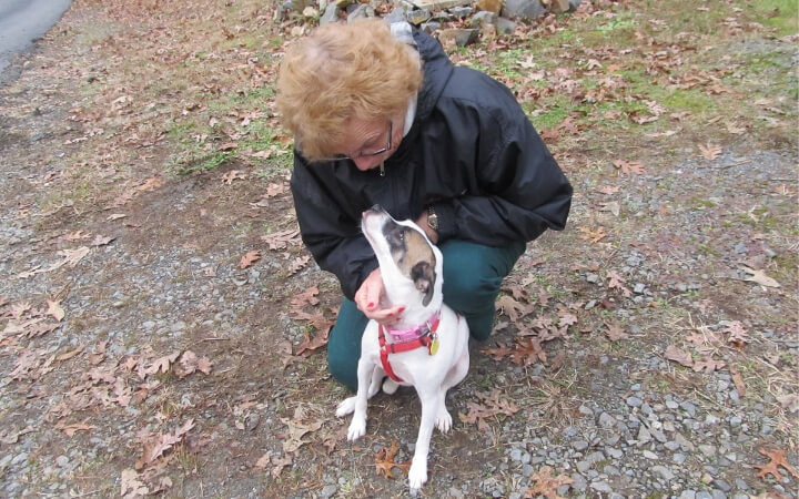 Dog left to die in drain pipe adopted by Navy veteran who knows pain of abandonment