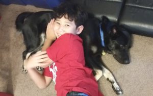 Shelter dog a blessing to Army family and their autistic son