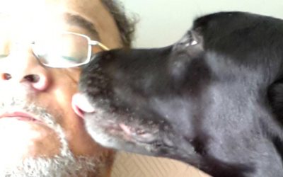 Death row dog saves veteran from suicide