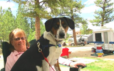 Shelter dog cures combat medic's broken heart