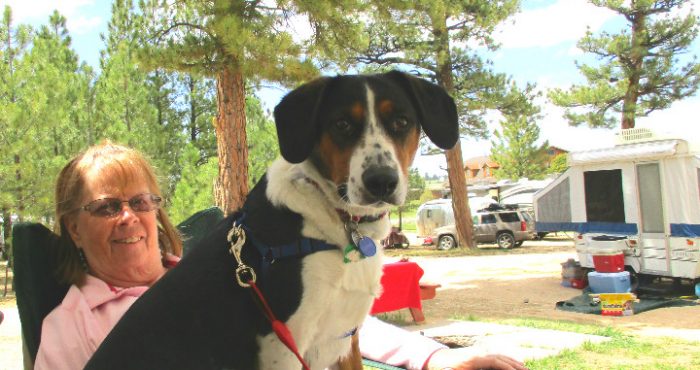 Shelter dog cures combat medic's broken heart