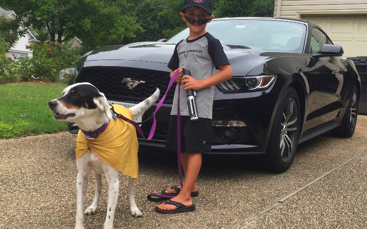 Oversized lap dog completes Army family