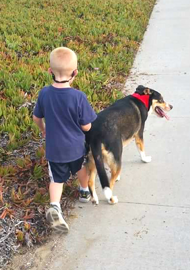 Stray dog adopts Navy family of his own