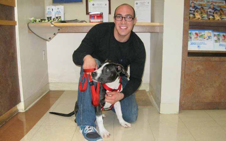 Abused Pit Bull comforts young Navy family