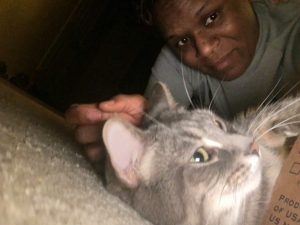 Rescued tabby cat earns devotion of Army veteran