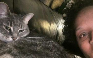 Rescued tabby cat earns devotion of Army veteran