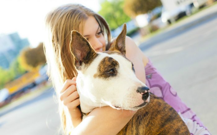 Deed not breed: why more shelters are joining the no label movement Deed not breed: why more shelters are joining the no label movement
