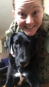 Adventures of the Navy veteran and land-loving shelter dog