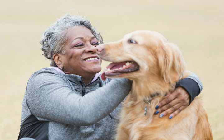 Does a Wet Nose Mean a Dog is Happy  : The Truth About Canine Happiness