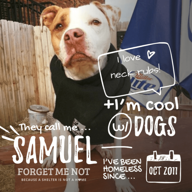 Made to Forget... by Sam Goodno Made to Forget... by Sam Goodno