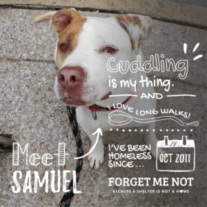 Made to Forget... by Sam Goodno Made to Forget... by Sam Goodno