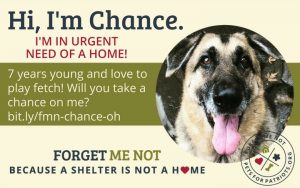 Chance
