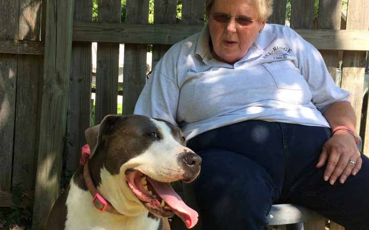 Veteran credits abandoned Pit Bull with saving her life