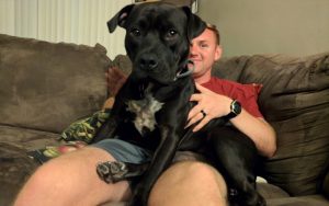 Ship comes in for three-strikes dog when Navy veteran adopts her