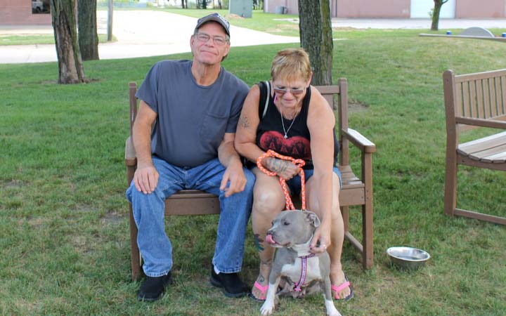 Pit Bull who endured years of abuse steals Navy veteran's heart