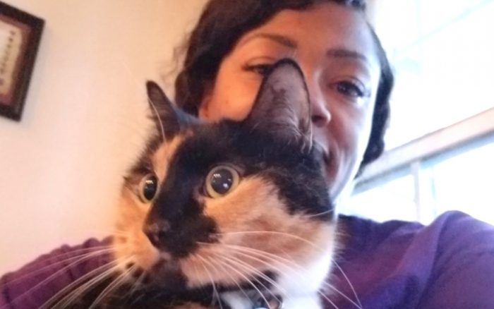 Navy veteran discovers adult shelter cat she adopts is the cat she needs