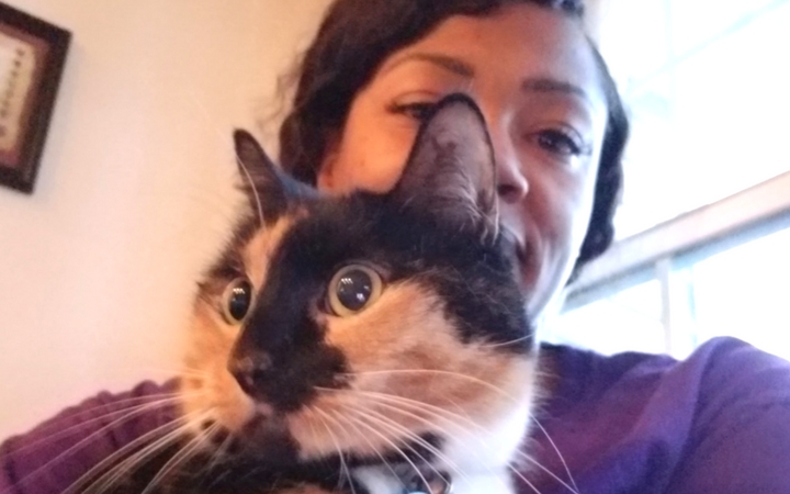 Navy veteran discovers adult shelter cat she adopts is the cat she needs