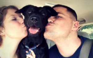 Music-loving pup helps Marine Corps veteran transition to civilian life