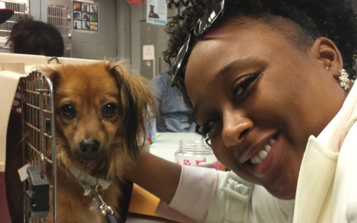 Army veteran finds the sweet side of a dog no one wanted