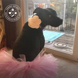 Ballerina