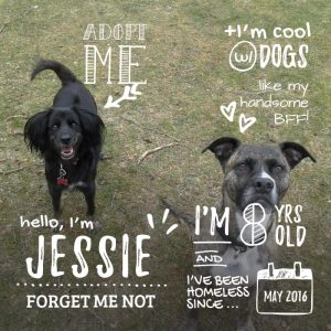 Jessie
