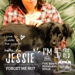 Jessie