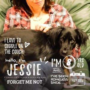 Jessie
