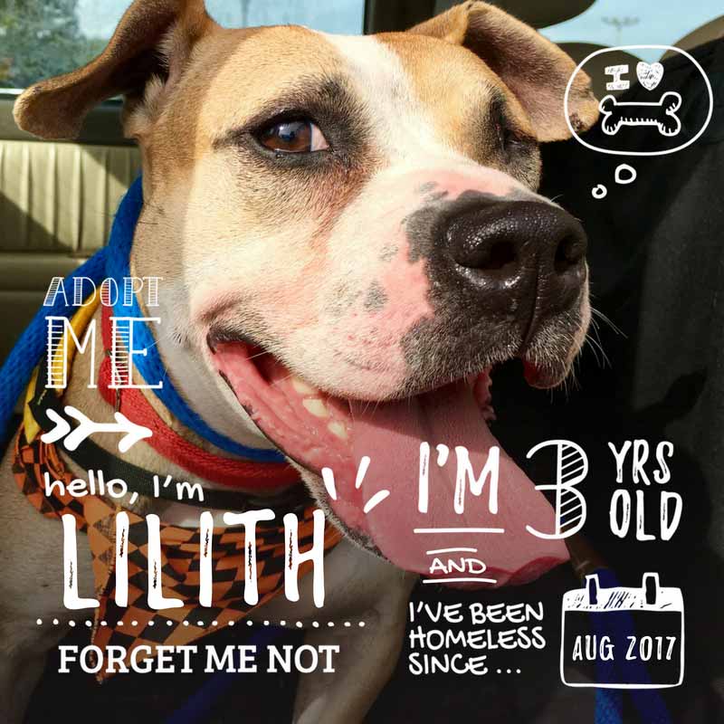 Lilith