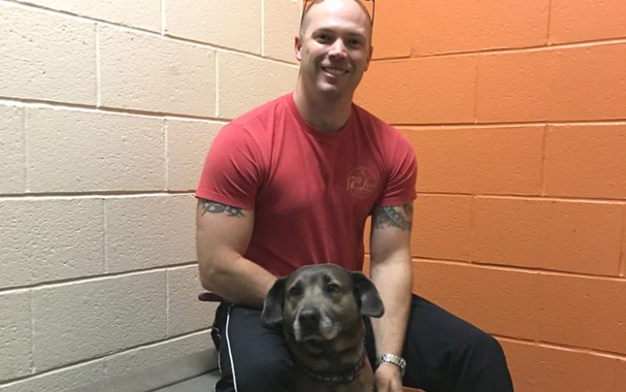Hero Fund throws lifeline to Naval officer's adopted dog