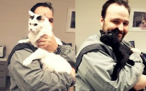 Loving shelter cats rescue Army veteran from depression and anxiety
