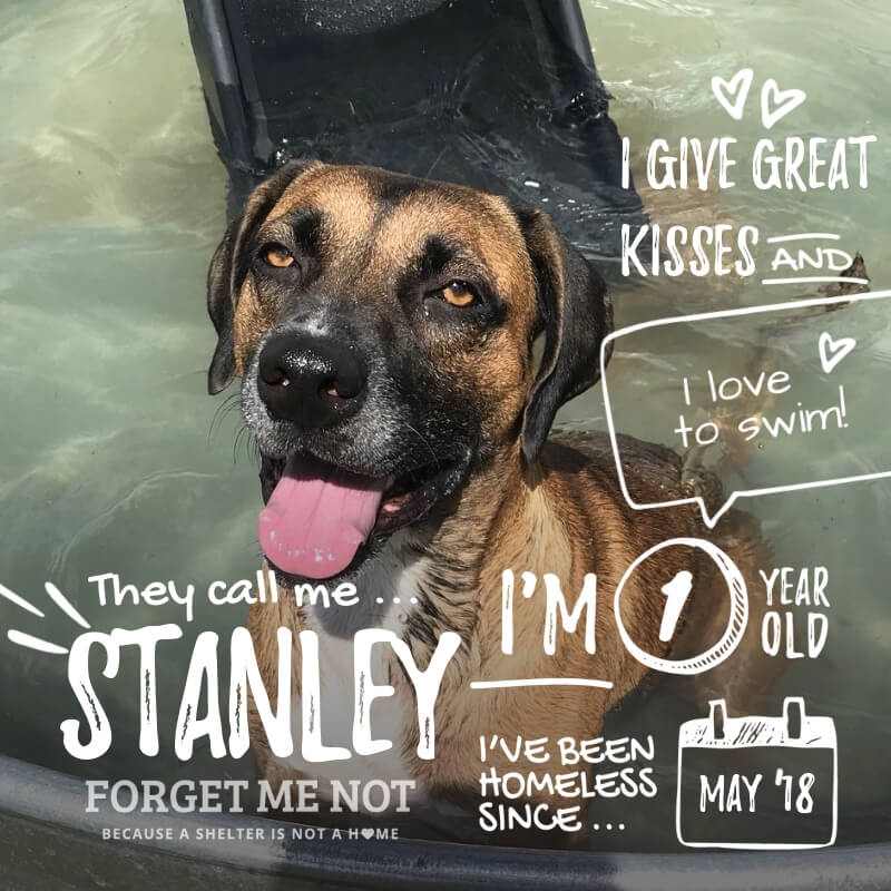 Stanley