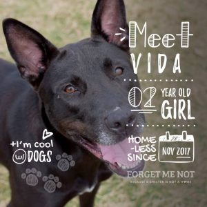 Vida
