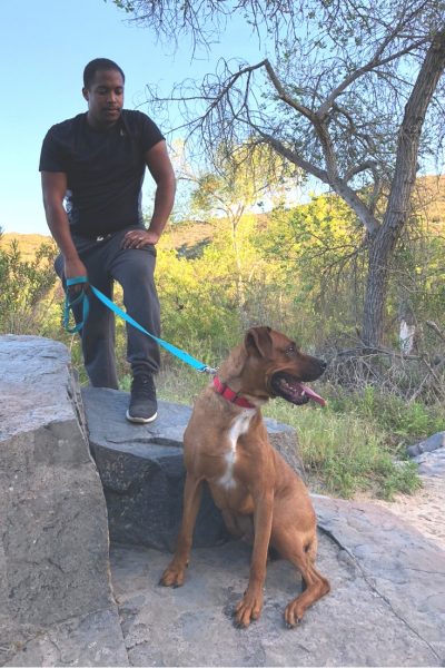 Marine Corps veteran meets his match in a mutt named Milo