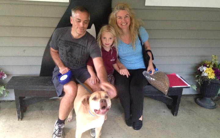 Old stray dog makes new life with Navy veteran's family