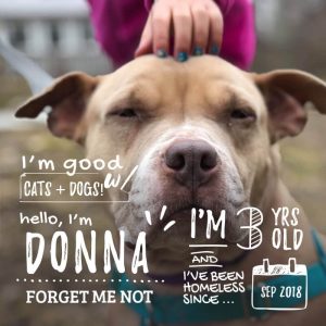 Donna