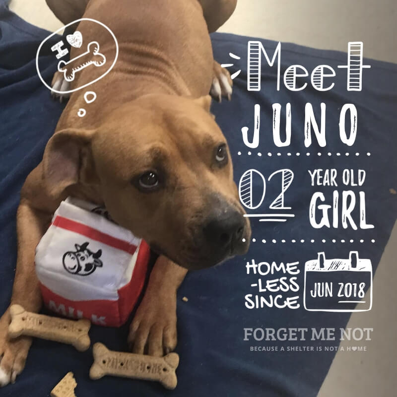 Juno