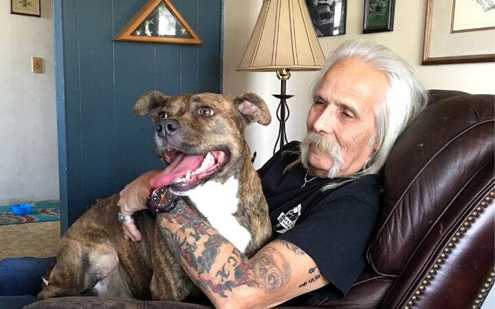 Native American wolf spirit connects Vietnam veteran with homeless shelter dog