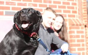 Active duty Army medics give new life to shelter dog who returns the favor