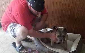 Pit Bull helps Iraq war veteran cope with divorce and loneliness