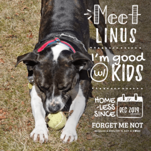 Linus