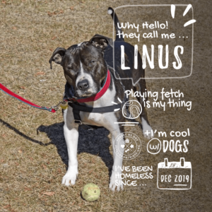 Linus