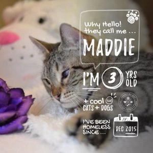 Maddie